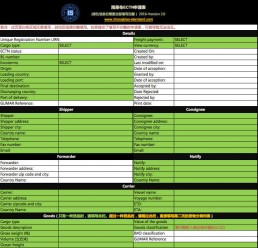 刚果布ECTN电子货物跟踪单 申请表样本